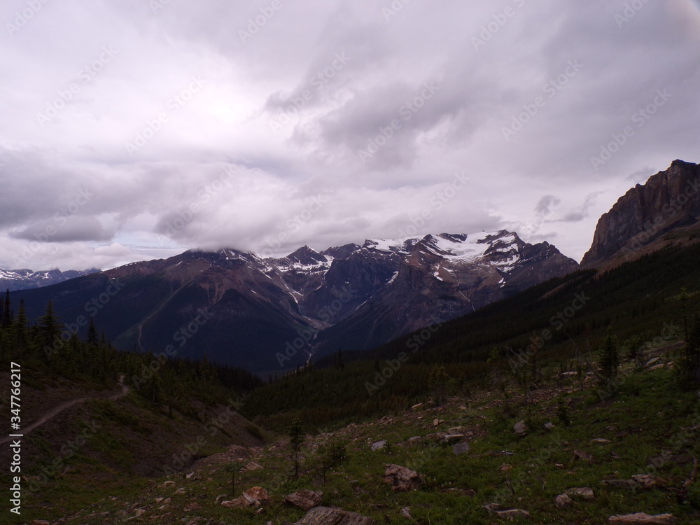 Fototapeta premium KODAK Digital Still Camera