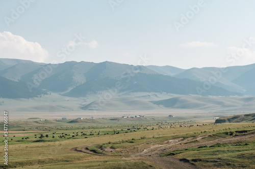Green hills and horses