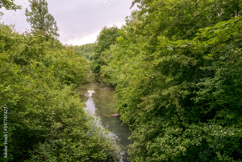 Rives de l'Aar