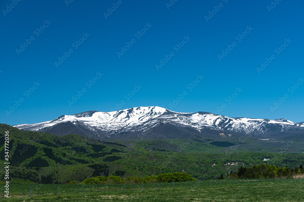 日本　残雪の栗駒山と高原の牧場