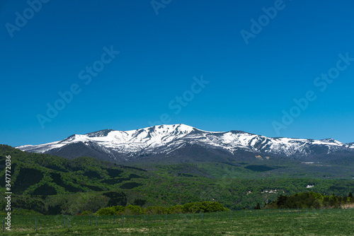 日本 残雪の栗駒山と高原の牧場