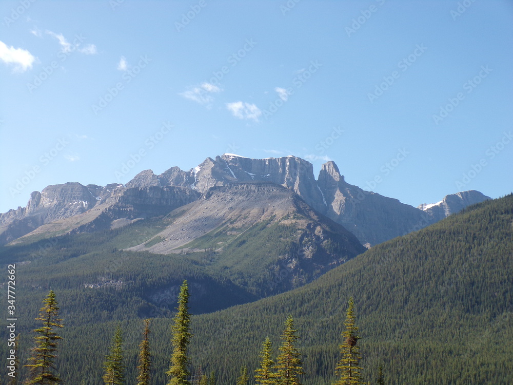 Fototapeta premium KODAK Digital Still Camera