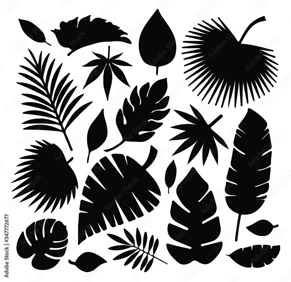 Tropical leaves collection. Vector isolated elements on the white background. Tropical leaves collection. Vector isolated elements on the white background.