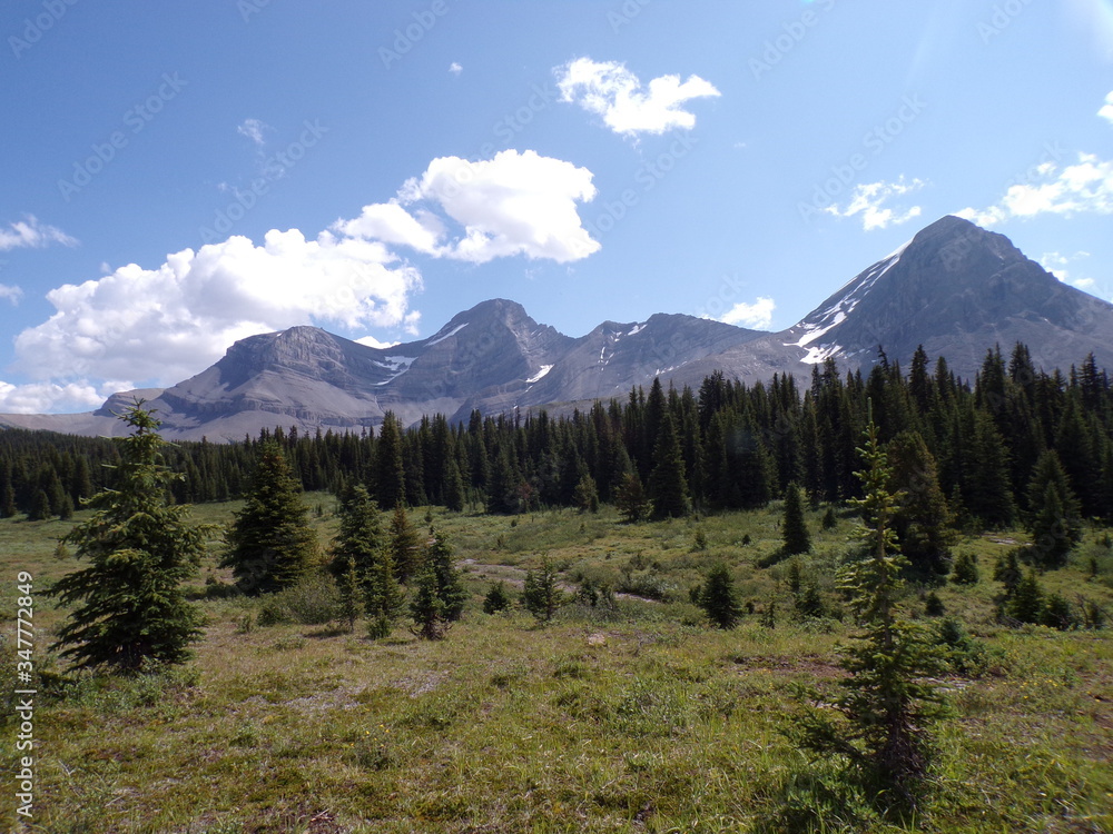 Fototapeta premium Cyfrowy aparat fotograficzny KODAK