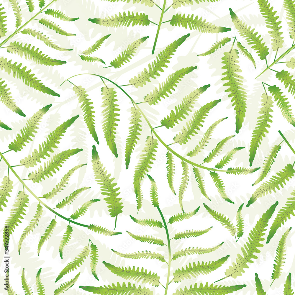 Fern vector seamless pattern background. Hand drawn forest plant frond backdrop. Delicate green white overlapping botanical foliage design. Dense all over print for nature health concept packaging