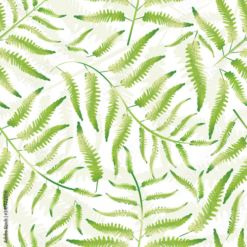 Fern vector seamless pattern background. Hand drawn forest plant frond backdrop. Delicate green white overlapping botanical foliage design. Dense all over print for nature health concept packaging © Gaianami Design