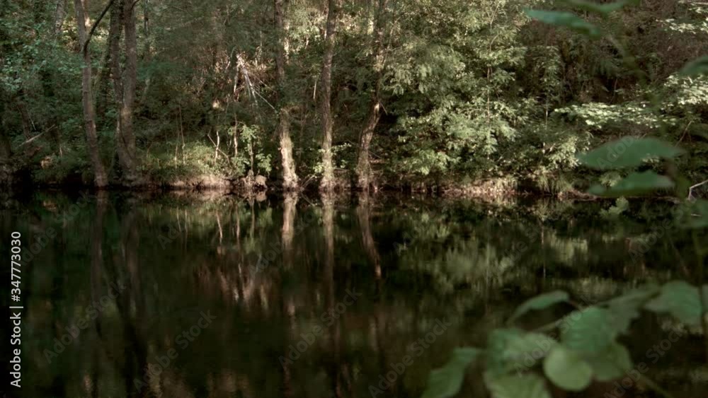 Reflection in river with leafy hole Reflection in river with leafy hole