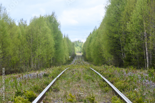 Einsame Bahnstrecke durch die Wildnis in Schweden