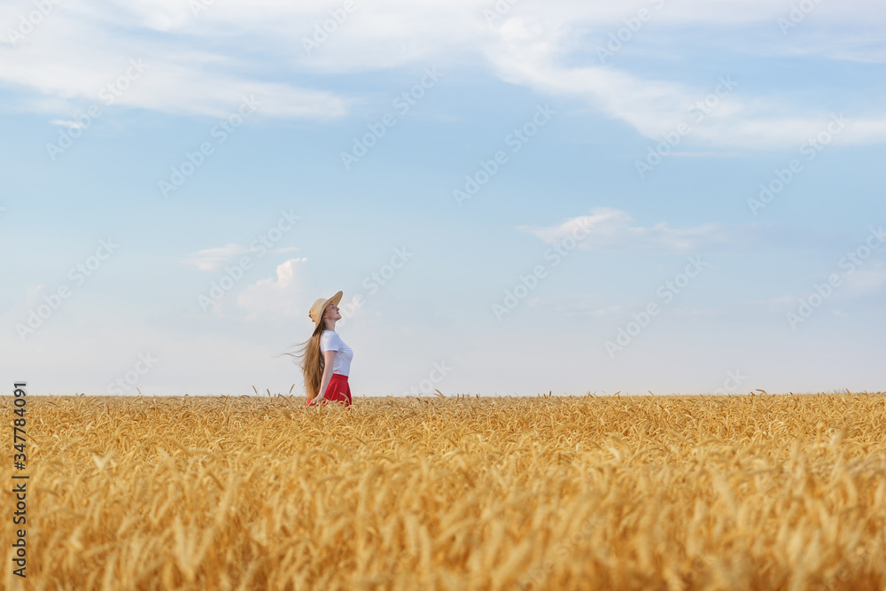 Field of ripe wheat and young girl in distance enjoying Sunny day. Field of ripe wheat and young girl in distance enjoying Sunny day.