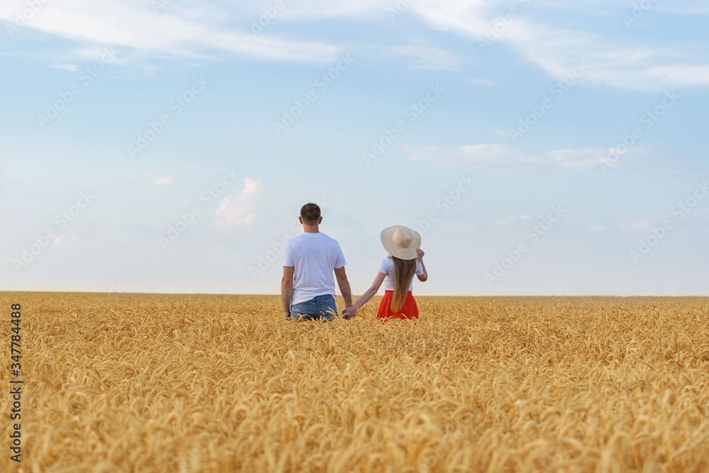Couple holding hands and standing in wheat field. Rear view. Blue sky, field and horizon Couple holding hands and standing in wheat field. Rear view. Blue sky, field and horizon