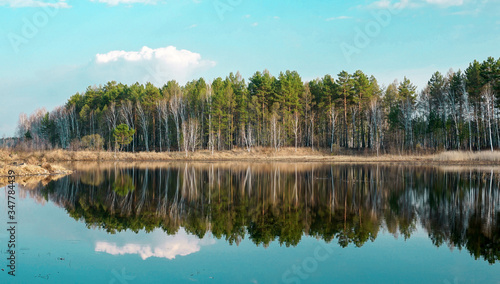 forest lake, reflection