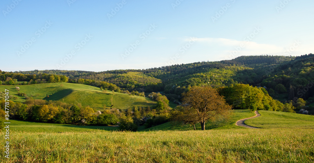 Relaxing hiking trail in the beautiful Forest of Odes in Baden-Wuerttemberg:  View of Spring landscape with path, hills, meadows, apple trees, flowers, sun, blue sky and clouds in Germany in Europe.