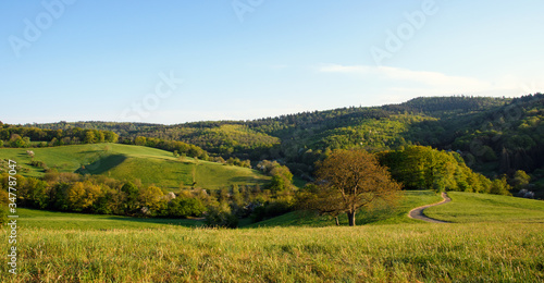 Relaxing hiking trail in the beautiful Forest of Odes in Baden-Wuerttemberg   View of Spring landscape with path  hills  meadows  apple trees  flowers  sun  blue sky and clouds in Germany in Europe.