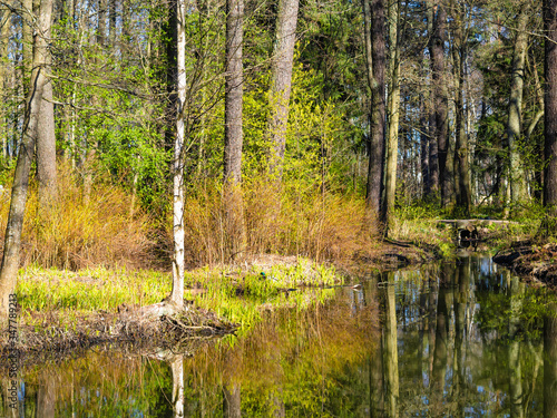 Sunny early spring day in a forest, a forest pond reflecting still naked trees, Herttoniemi park in Helsinki Finland photo