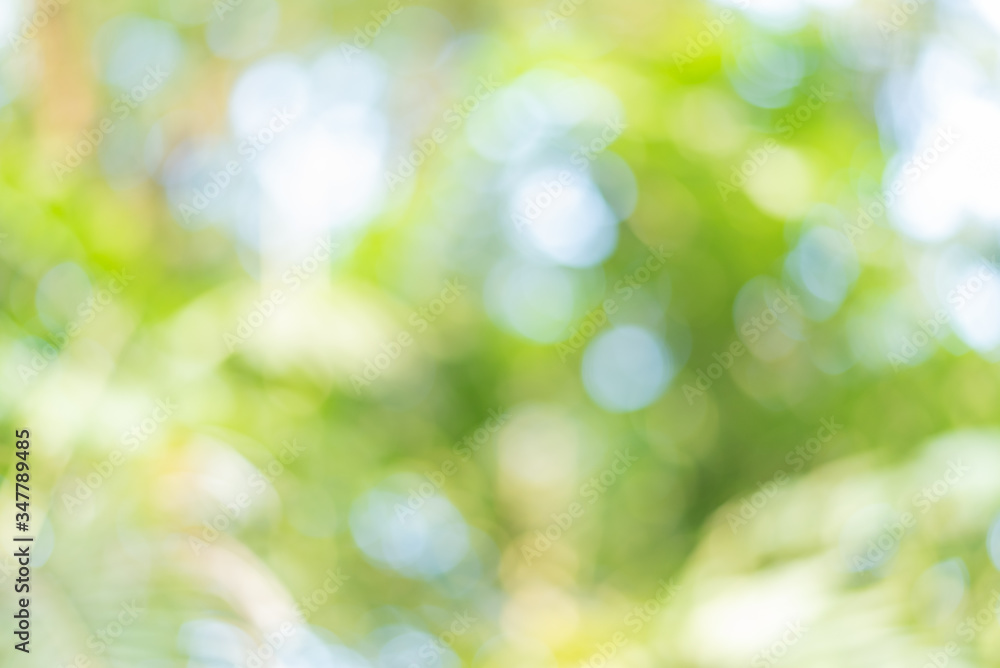 Green blur and bokeh abstrack background
Green blur and bokeh abstrack background