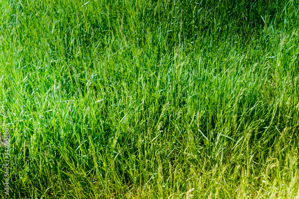 Natural blur pattern Natural blur pattern