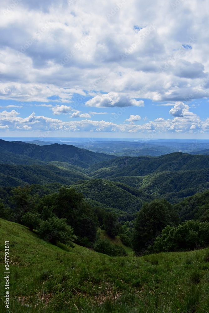 Obraz premium horizon seen from above in top of the mountain on summer day with white clouds and green grass
