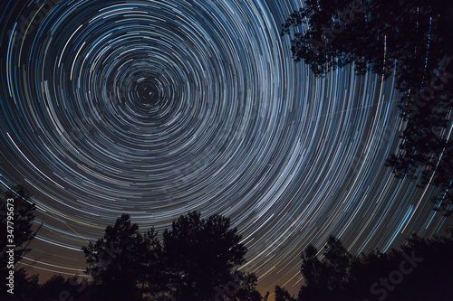 Starry night sky, startrails between trees landscape