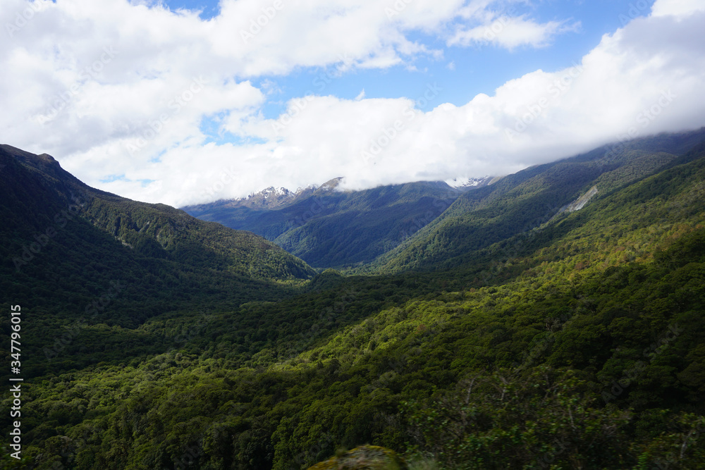 Fototapeta premium Mountains covered by trees