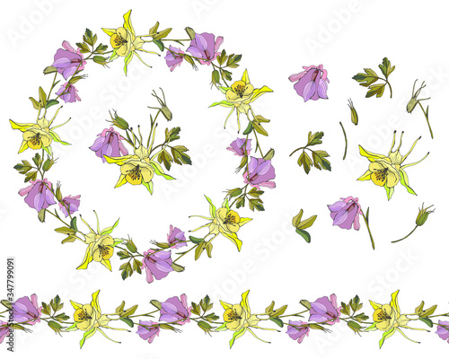 Aquilegia vulgaris isolated on a white background. Decor elements and borders are made of Aquilegia vulgaris and stylized herbs. Seamless floral brush