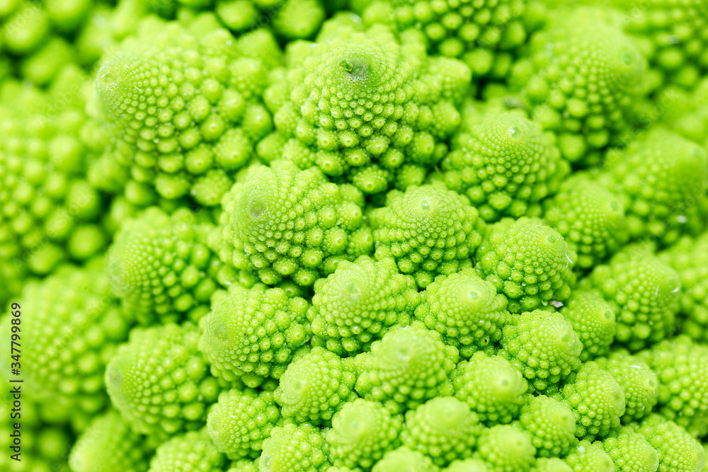 Detail of a Roman broccoli Detail of a Roman broccoli