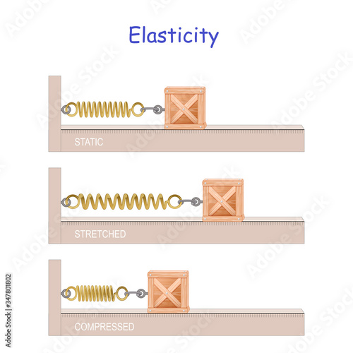 elastic potential energy. Elasticity. Hooke's law. potential and kinetic energy.