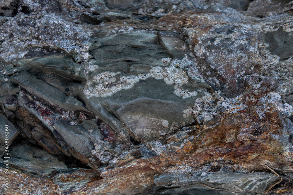stone surface. The texture and the background of rocks