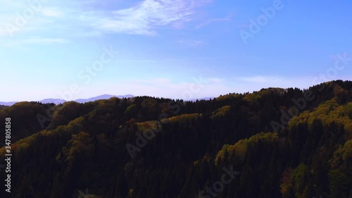 大自然の蒼空と森林