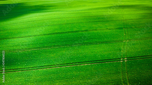 Aerial view of green field in spring, Poland