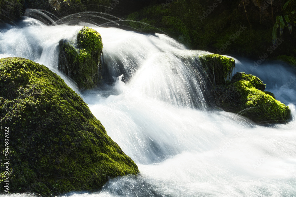 Fototapeta premium Flowing river in spring and Moss-covered stones