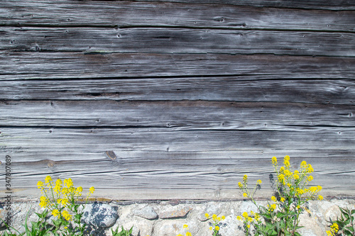 Old wooden plank board. House reparation, housework exterior and interior design wallpaper, background. Yellow flowers in front of the wall