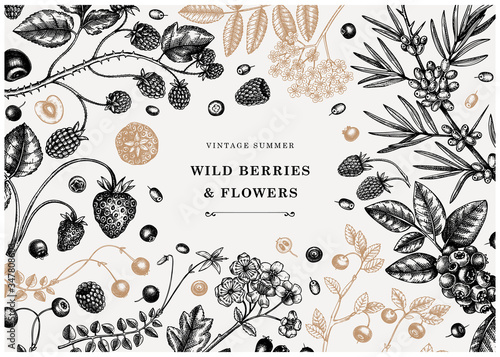 Wild berries vintage design in color. Hand drawn berry and flowers illustrations - strawberry, cranberry, currant,  bilberry, raspberry, blueberry hand drawings. Vintage botanical summer frame.