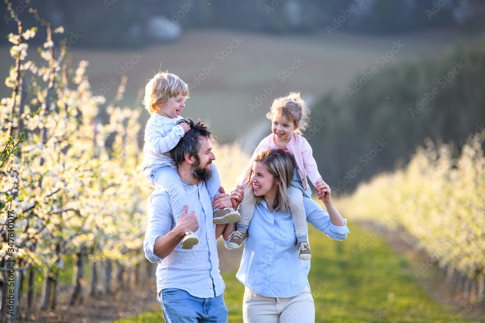 Family with two small children walking outdoors in orchard in spring. Family with two small children walking outdoors in orchard in spring.