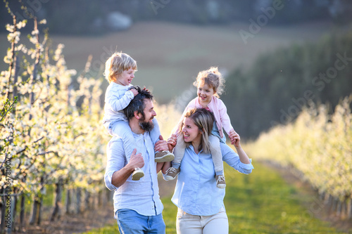 Family with two small children walking outdoors in orchard in spring.
