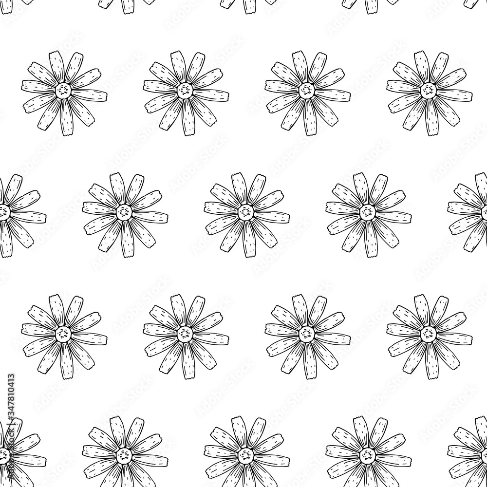 Hand drawn Chamomile seamless pattern. Vector illustration in sketch style Hand drawn Chamomile seamless pattern. Vector illustration in sketch style