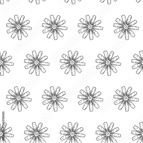 Hand drawn Chamomile seamless pattern. Vector illustration in sketch style