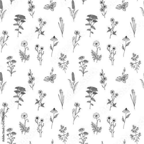 Hand drawn meadow flowers seamless pattern. Vector illustration in sketch style