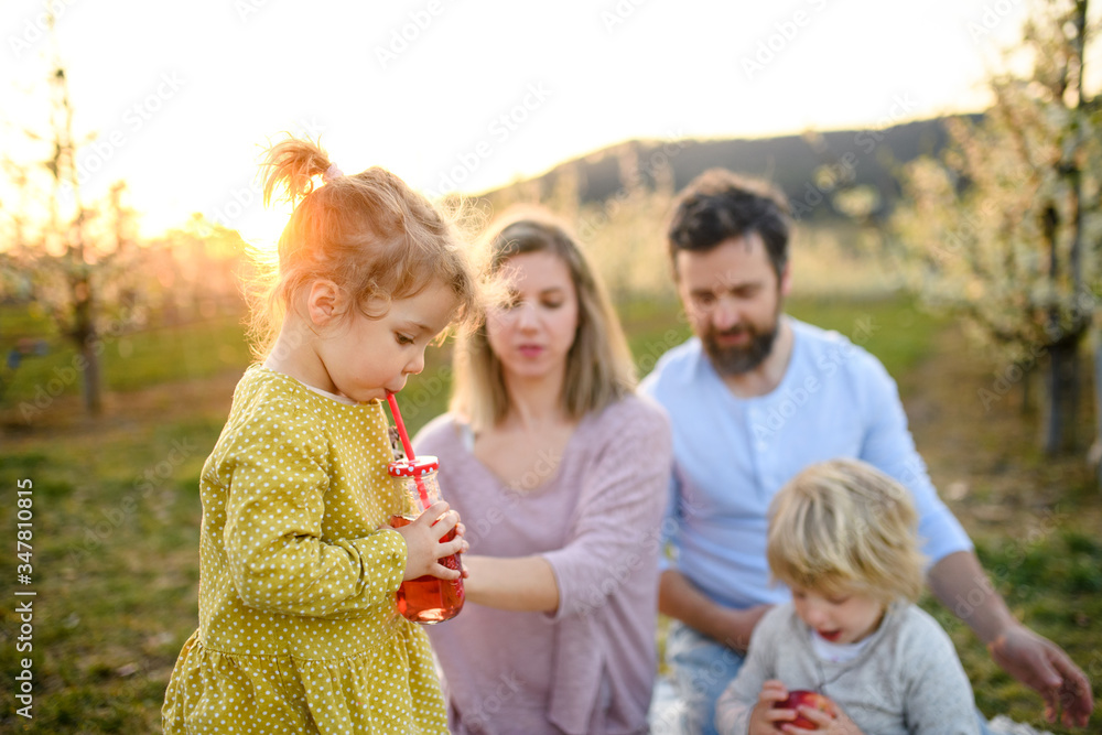 Family with two small children having picnic outdoors in spring nature at sunset. Family with two small children having picnic outdoors in spring nature at sunset.