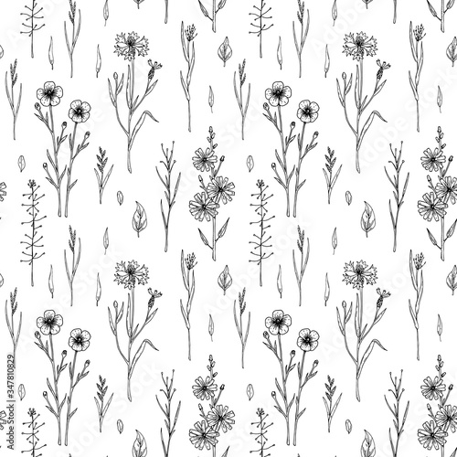 Hand drawn meadow flowers seamless pattern with Chicory, Cornflower and Flax. Vector illustration of medical plants in sketch style