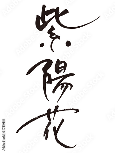 紫陽花筆文字4