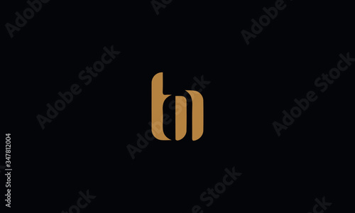 TN Letter Minimal Logo Design Template Vector illustration 