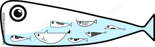 whale and fish