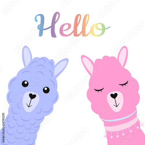 Two cute cartoon llamas in blue and pink. Hey. Flat vector illustration isolated on white background.