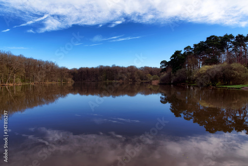 Etang d 'or pond in the Rambouillet forest