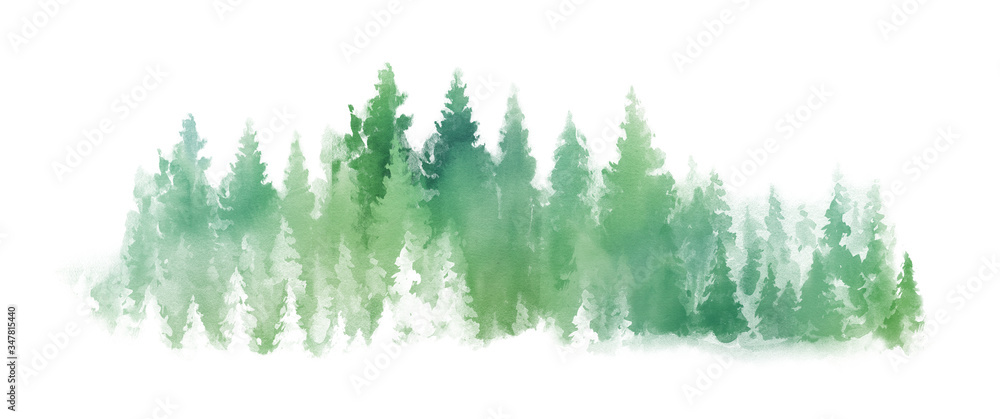 Obraz Watercolor Green landscape of foggy forest hill. Wild nature, frozen, misty, taiga. Horizontal watercolor background. Evergreen coniferous trees.