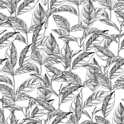 Seamless pattern with hand drawn tea leaves and branches