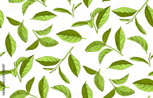 Seamless pattern with hand drawn tea leaves and branches