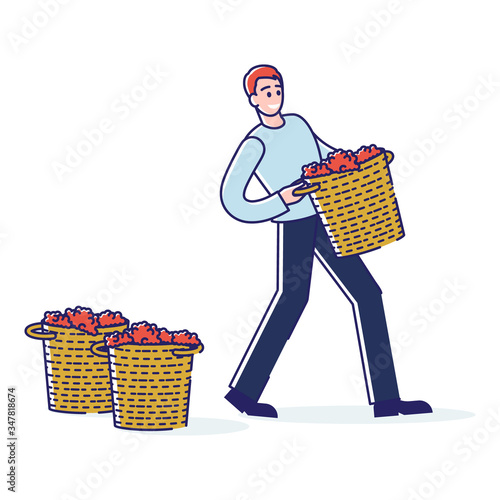 Concept Of Wine Production. Character Works On Grape Plantation On Wine Plant. Man Is Harvesting Grapes Carrying It In Basket For Processing. Cartoon Linear Outline Flat Style Vector Illustration