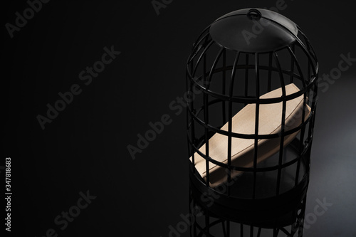 Loneliness epidemic, solitary confinement as torturer  and isolation kills concept with wood coffin locked in a black cage isolated on dark background with copy space