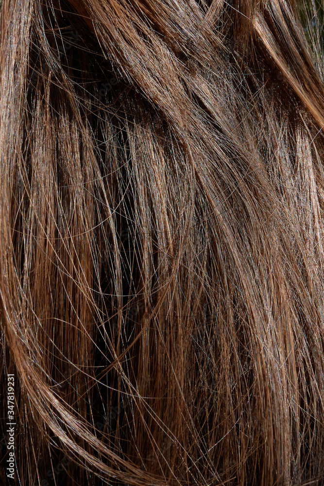Fototapeta premium długie brązowe włosy